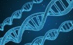 Teste de DNA morte vida