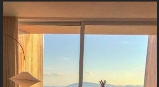 thais fersoza michel telo surpresa filhos