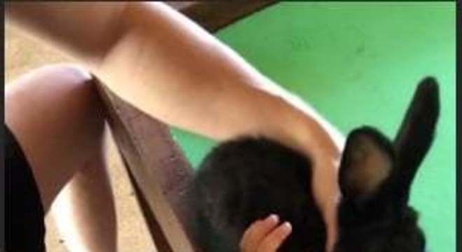 thais fersoza teodoro