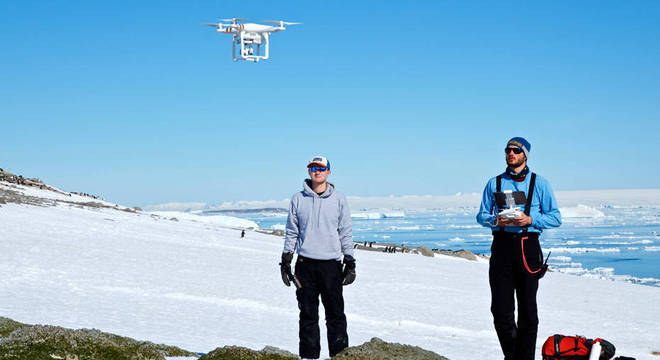 Os drones foram usados para identificar os ninhos de pinguins