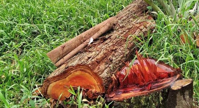 Obras da construtora têm licenciamento ambiental concedido pela Prefeitura