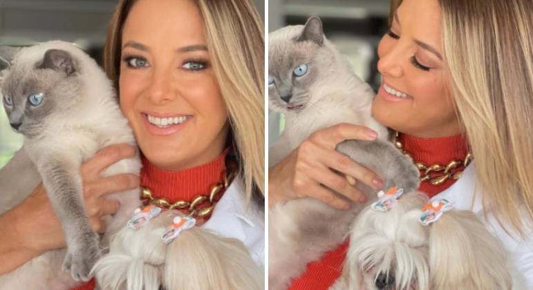 Detido após perseguição, Felipe Titto mostra amor por animais - Fotos - R7  Famosos e TV