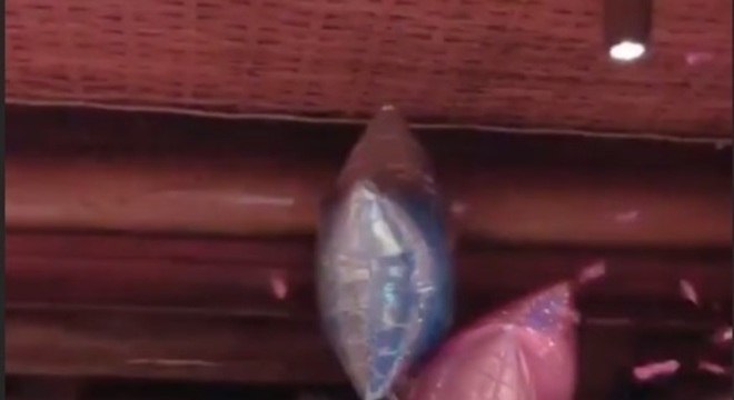 ticiane pinheiro cha revelacao