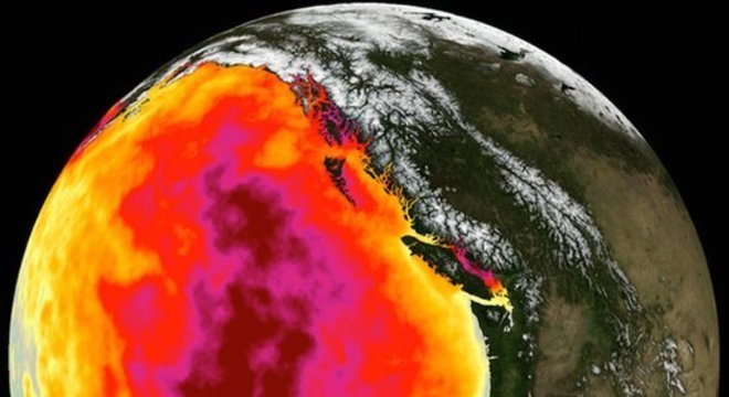 Em 2014, satélites registraram um aquecimento fora do comum no oceano pacífico, perto da costa oeste dos EUA