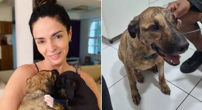 Claudia Ohana adotou dois cachorros em 2019 e os devolveu meses depois
