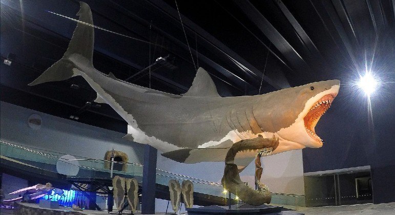Escultura de megalodon no Museu da Evolução, em Puebla, no México