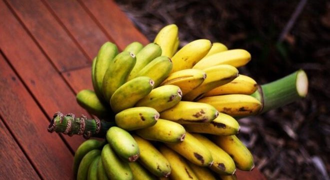 Tipos de banana: principais variedades encontradas no Brasil