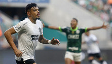 Tiquinho marca, Veiga perde pênalti e Botafogo vence o Palmeiras em confronto de líderes