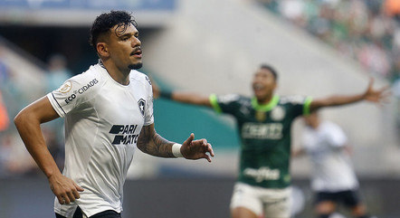 Tiquinho Soares, atacante do Botafogo, contra o Palmeiras