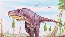 Maioria dos dinossauros tinha sangue quente, revela estudo