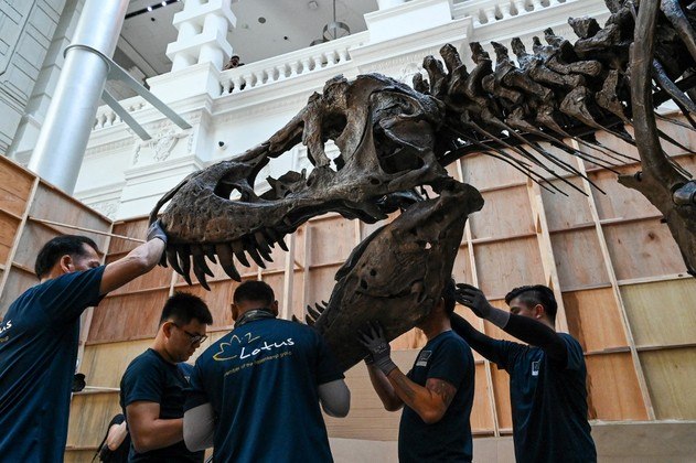 Esqueleto de T-Rex avaliado em R$ 45,3 milhões vai a leilão na Suíça