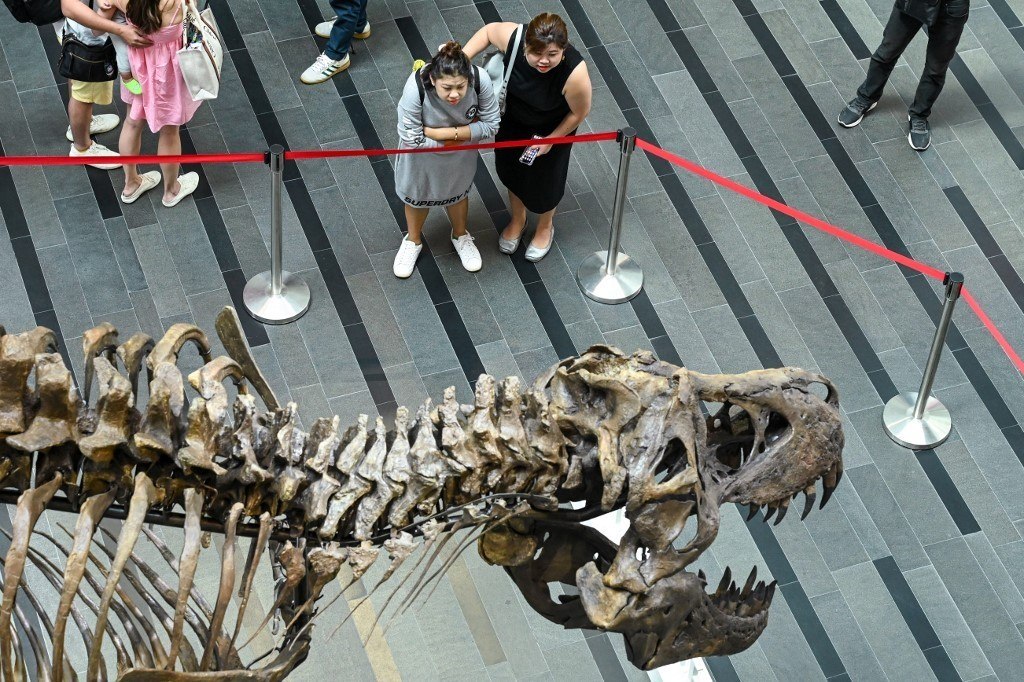 Esqueleto de Tiranossauro Rex de 67 milhões de anos será leiloado por pelo  menos R$ 34 milhões - ISTOÉ Independente