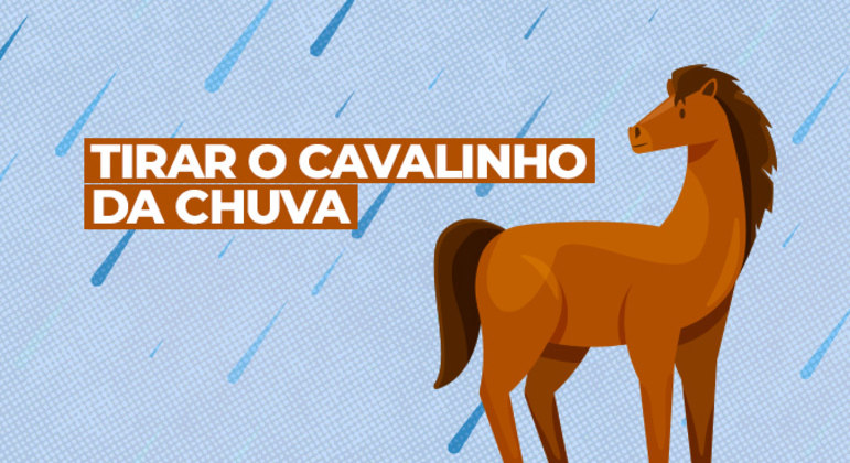 Tirar o cavalinho da chuva: é o mesmo que desistir de
fazer algo e 