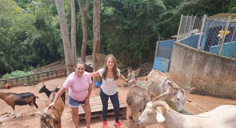 Toca dos Peludos - abrigo na Grande São Paulo que acolhe e prepara animais pequenos, médios e grandes para adoção responsável