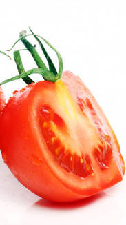 Câncer: futuro do tratamento pode estar no tomate e na batata