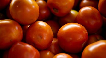 Tomates ficaram 26,92% mais caros em setembro