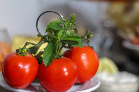 Alimentos crus so a base do crudivorismo