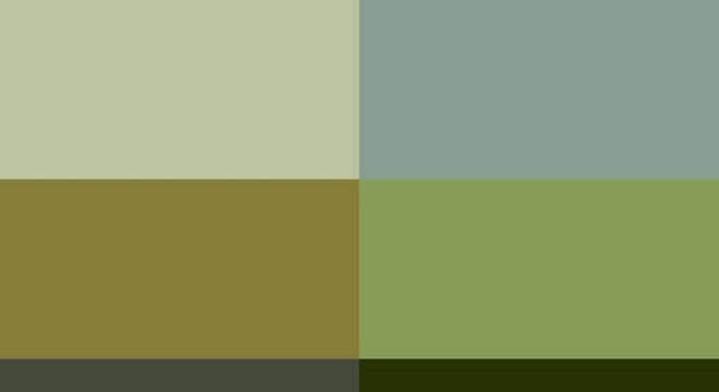 tonalidades de verde musgo