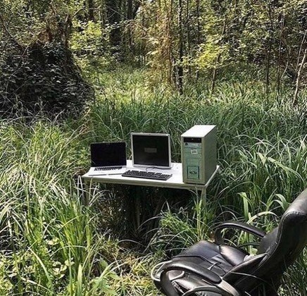 Jungle office
