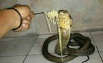 Não recomendado (2)