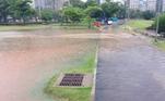Ralo vacinado