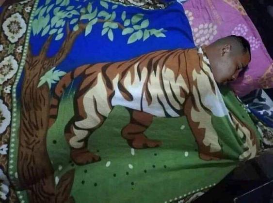 Aqui dorme uma ferinha