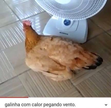 Sugestão de vídeo