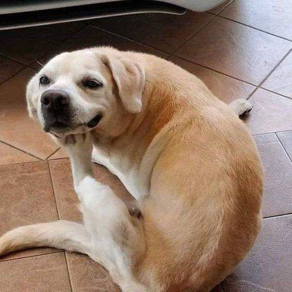 — Conte-me mais