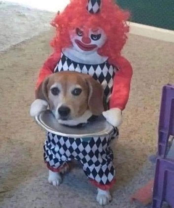 — O que é isso agora, Márcia?