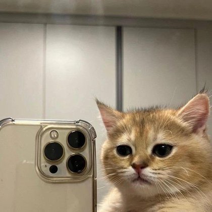 A verdadeira selfie