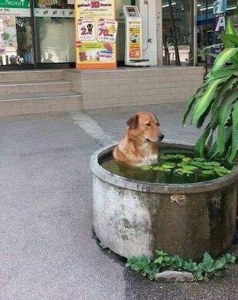 — Ah! Era disso que eu precisava