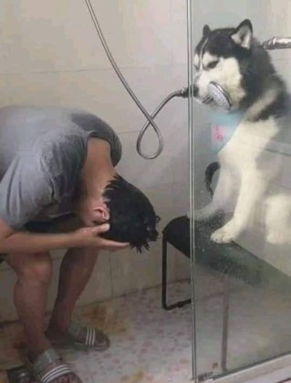 Muito amor (2)