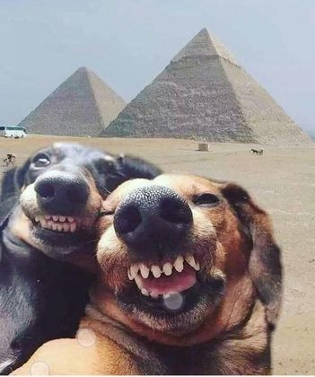 Férias em casal