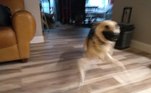 — Está tudo bem com o seu cachorro?— E não estamos todos?
