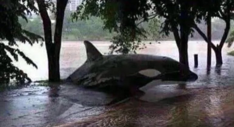 Cena cada vez mais comum em grandes cidadesBombou no HORA 7! Prato com peixe cru pode provocar câncer e já matou mais de 20 mil pessoas