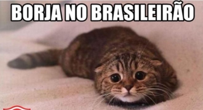 Torcedores do Palmeiras brincam após boa atuação de Borja e vitória na Libertadores