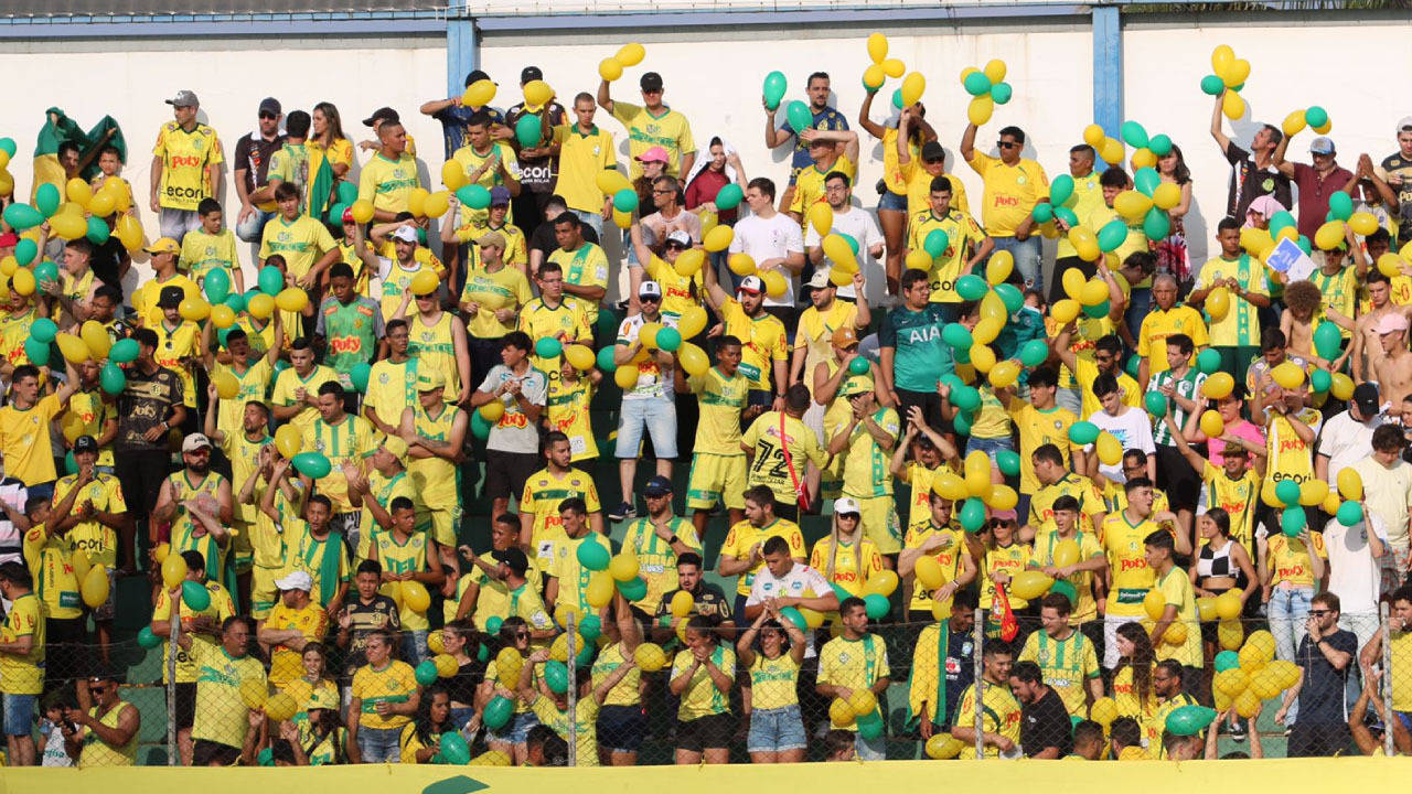 Mirassol E Botafogo-SP Sobem Para A Série B Do Campeonato Brasileiro ...