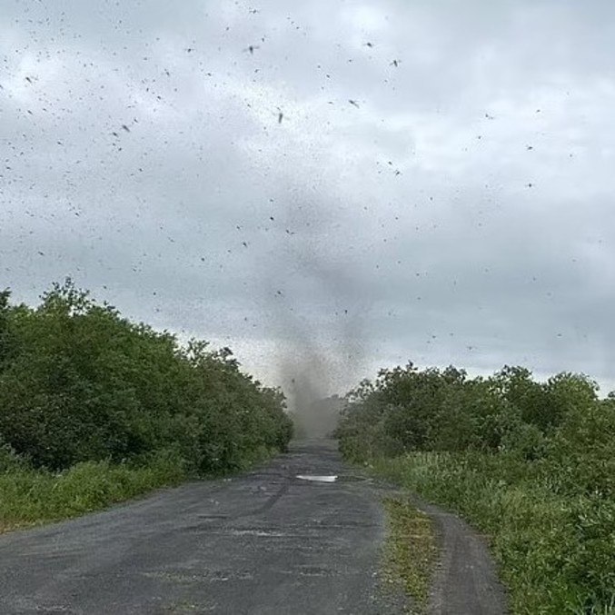 É realmente um tornado, mas um tornado de amor