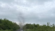 Homem filma 'tornados gigantes' de mosquitos que bloqueiam o sol