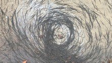 'Tornado de vermes' aparece em calçada e intriga cientistas
