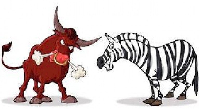 O "Toro" contra a "Zebra", no clássico do Piemonte