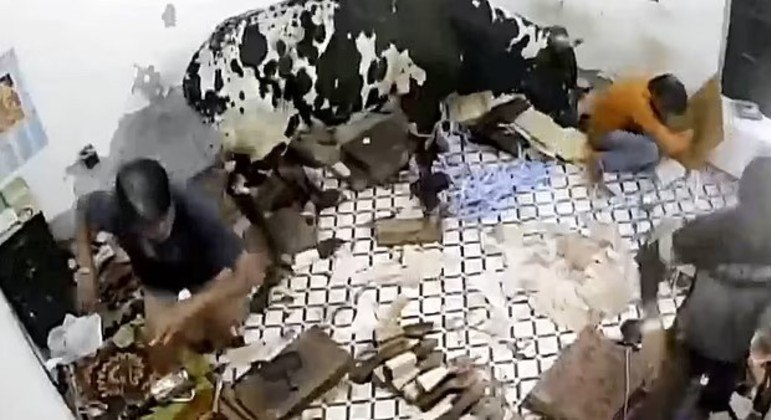 Animal invadiu residência e destruiu parte de cômodo