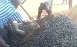 As imagens da operação de resgate são de autoria do professor de geografia Dicken Muchena, que passava pelo local no momento do incidenteBombou no HORA 7! 'Nova Barbie Humana' arrecada dinheiro de fãs para retirar costelas