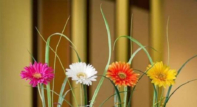 Traga cor para os ambientes incluindo mini vasos com flores de gérbera