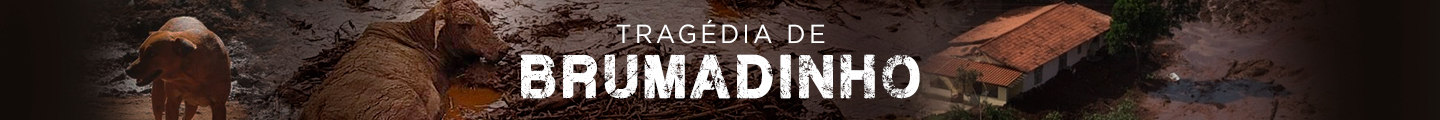 tragÃ©dia brumadinho