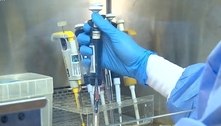SP cria rede de transfusão de plasma para doentes com covid-19 