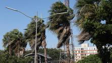 Ciclone extratropical: ventania em SP derruba árvores e paralisa balsas no litoral 
