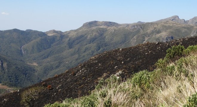 Trecho de mata atingido por incêndio: prevenir as queimadas é mais barato que tentar remediar depois, diz biólogo