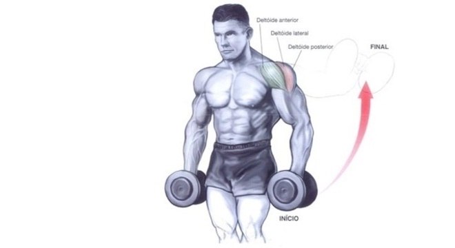 Treino de Ombros LEVANTAMENTO LATERAL COM HALTERES FIXOS