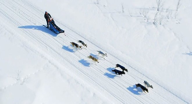 Um motor, no caso o melhor amigo do homem, e um timão: duas ideias que possibilitaram se deslocar mais rápido e transportar objetos
